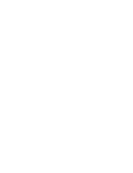 Graphic vector asset